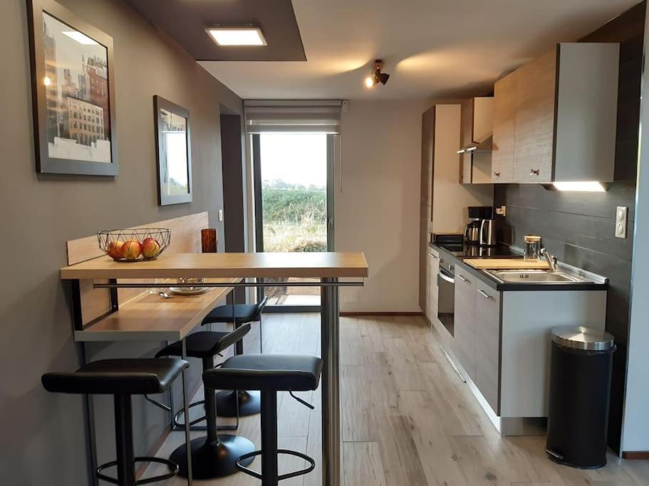 Logement 80 M2 Avec Terrasses Entre Les Deux Abers Лендеда Экстерьер фото